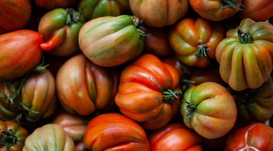 Nawóz ze skorupek jaj do pomidorów – ekologiczny hit, który zwiększa plony nawet o 50%! 1 pile of bell peppers