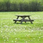 a picnic table in the middle of a field of flowers