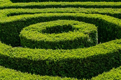a hedge maze with a shadow