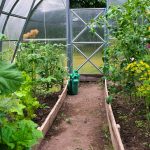a garden with a lot of plants growing inside of it