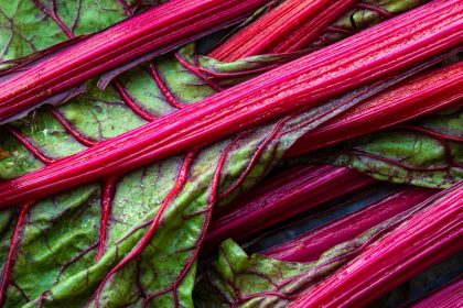 a close up of a bunch of red and green vegetables