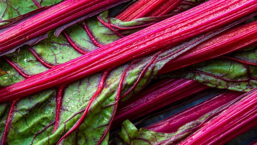 a close up of a bunch of red and green vegetables