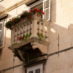 red flowers on white concrete building