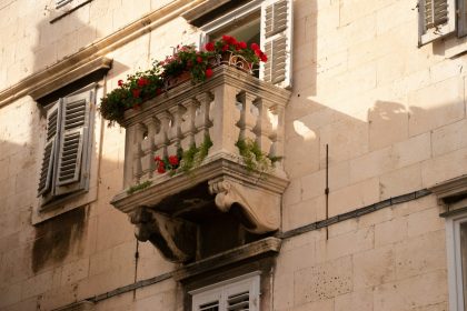 red flowers on white concrete building