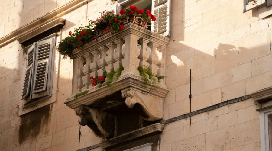 red flowers on white concrete building