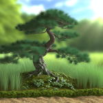 nawóz do bonsai