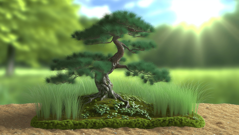nawóz do bonsai