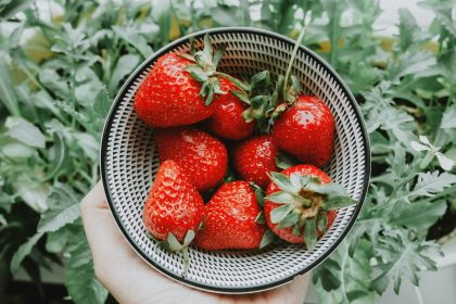 strawberries on stainless steel bowl