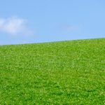 green grass field under blue sky during daytime