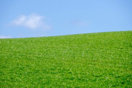 green grass field under blue sky during daytime