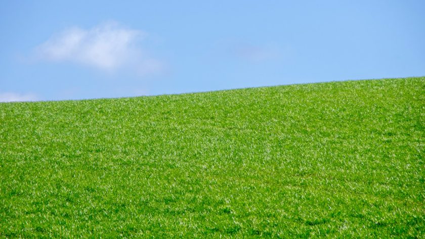 green grass field under blue sky during daytime